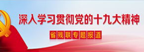 深入學(xué)習(xí)貫徹黨的十九大精神